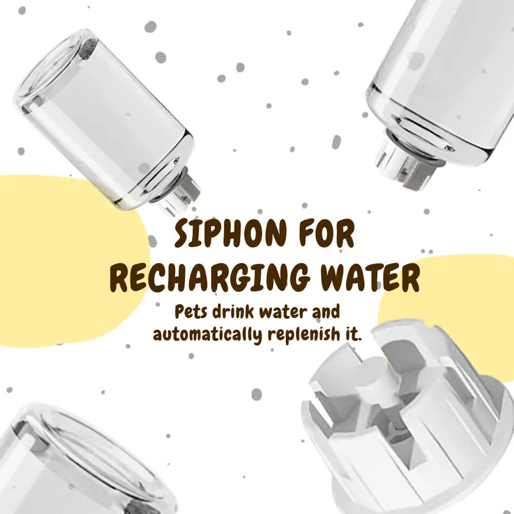 2-in-1 Auto Pet Feeder & Water Dispenser