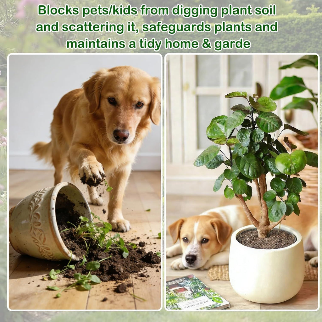 Plant Pot Cover Soil Blocker Mesh Mat Plant Protector from Cats Indoor Animals Flexible Cuttable Plant Covers with Pins Breathable Garden Plant Cover for Digging Spills 6 Pack 30cm