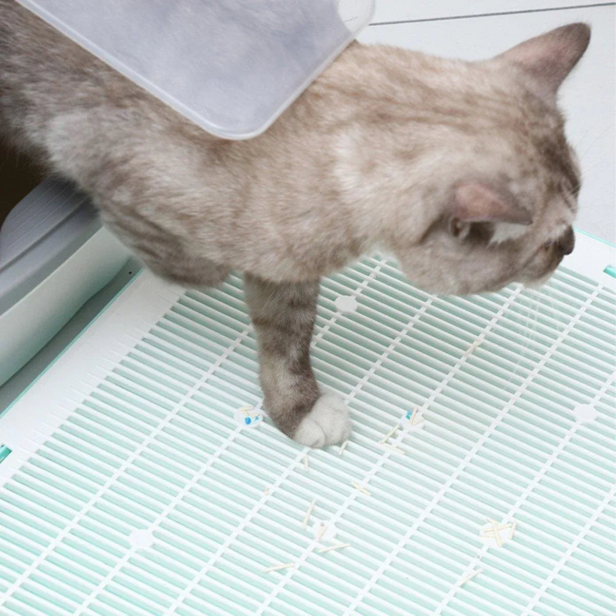 Anti Spill Cat Litter Mat Double Layer Pet Toilet Mat for Litter Box - Pink