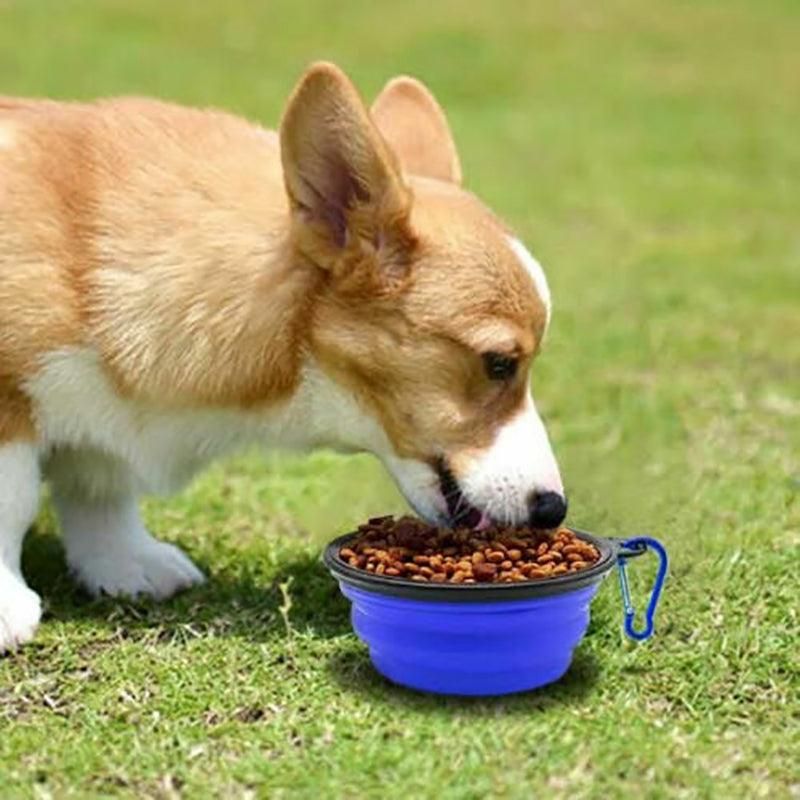 Collapsible Silicone Pet Bowl for Cat Dog Portable Food and Water Feeder - White