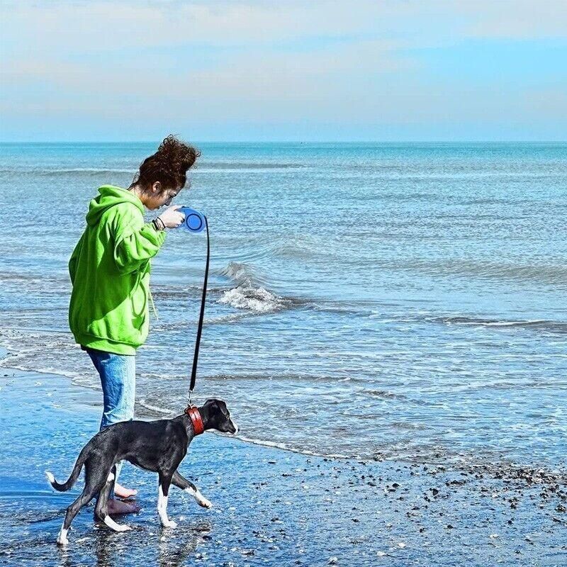5M Dog Lead Leash Strong Retractable Extendable 5M Lockable Heavy Duty 15Kg - Yellow