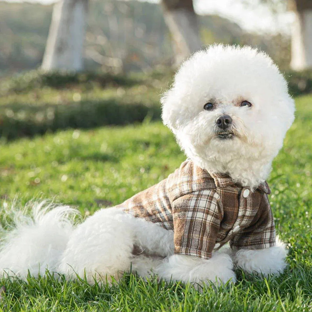 Soft Puppy Plaid Shirt Dog Clothes Jumpsuit Cat Pet Check Coat Summer T-shirt - Brown-S
