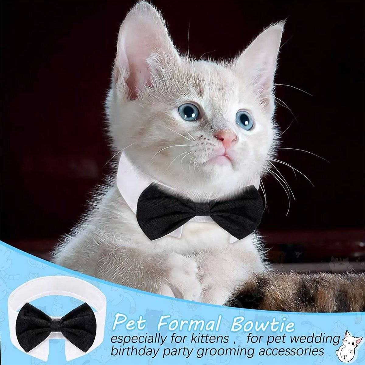 2pcs Pet Bow Tie Collar Dog Cat Suit Dress Accessories Adjustable Neck Strap - S