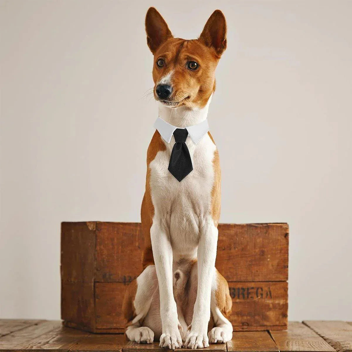 2pcs Pet Bow Tie Collar Dog Cat Suit Dress Accessories Adjustable Neck Strap - S