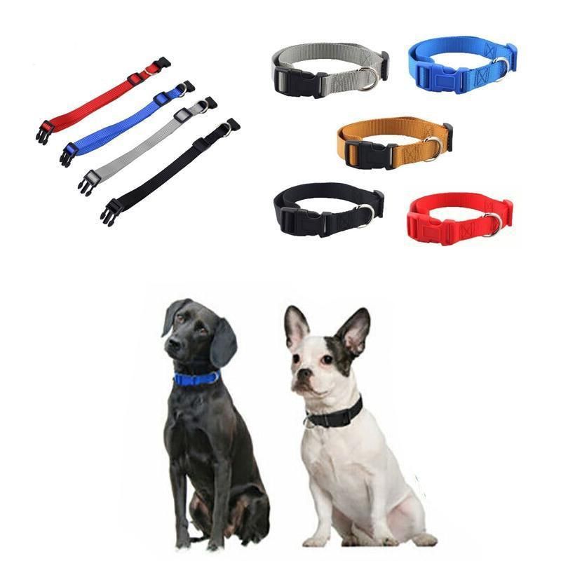 L Size Dog Puppy Pet Collar Adjustable Nylon Toy Large Pink Blue Red Black - Grey