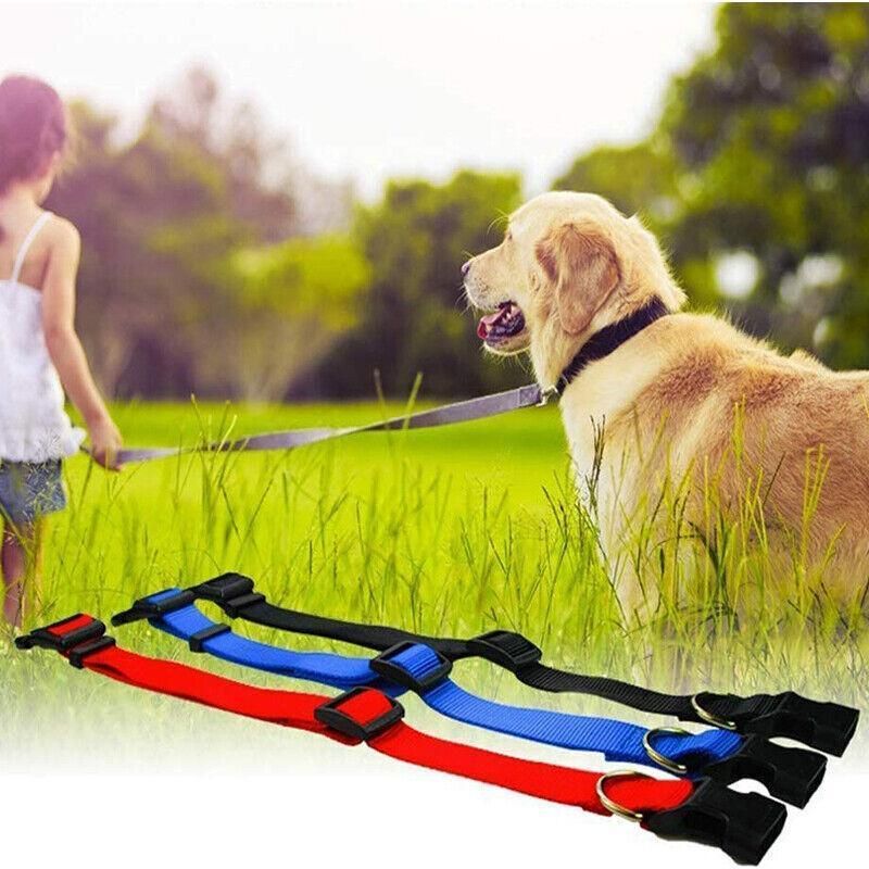 L Size Dog Puppy Pet Collar Adjustable Nylon Toy Large Pink Blue Red Black - Grey