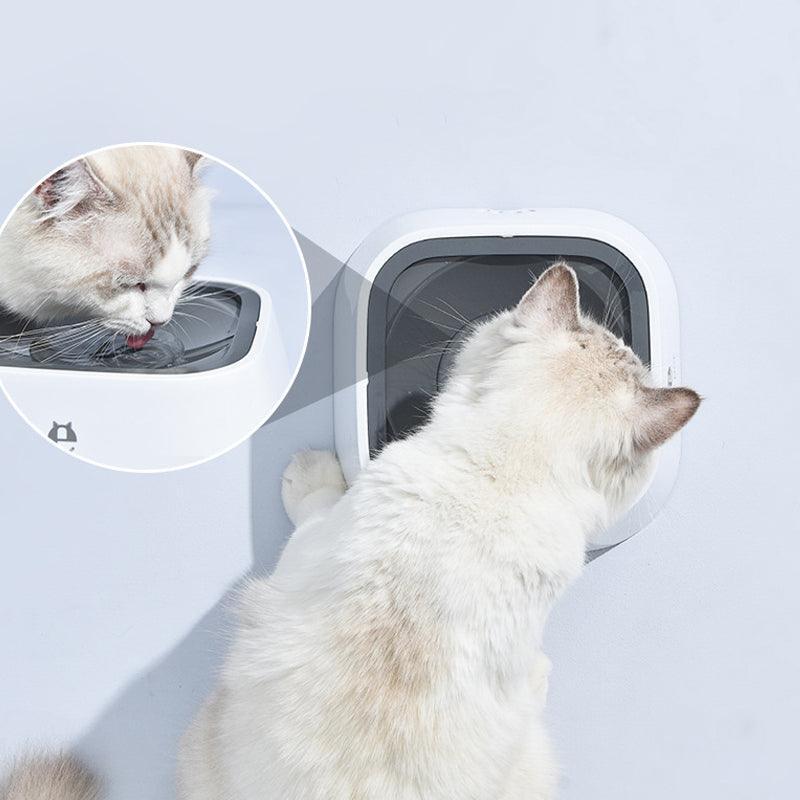 1.5L Pet Water Bowl No-Spill Design Slow Drinking Feeder with Non-Slip Base - Pink