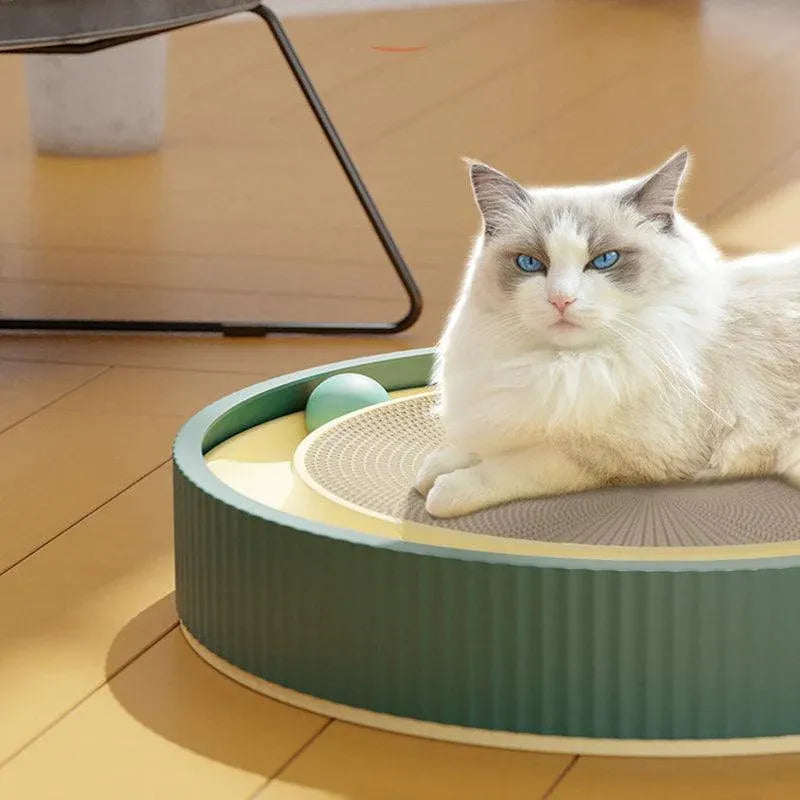 Cat Scratcher Lounge Bed Toy 40cm Round Foldable Cardboard Pad with Ball Track - Green