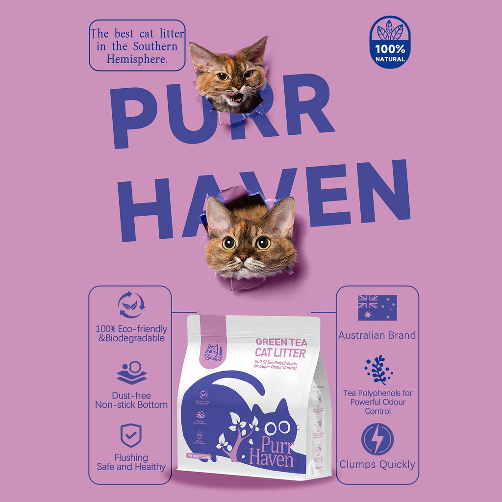 PurrHaven
