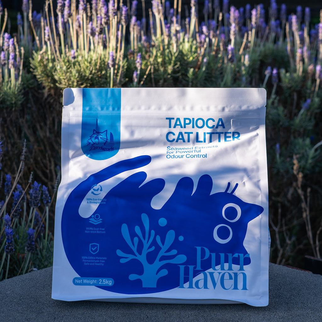 PurrHaven Tapioca Clumping Cat & Kitty Litter, 15kg (6 Pack),Dust Free,Natural Flusable,Easy to Clean,Odour Neutraliser,Rapid Liquid Absorption,Non-Toxic Formula